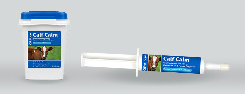  Oralx Show Calf 2 Herb-Free Formula for Calves & Cattle. Helps  Maintain Calm, Focused Composure During Events & Transport. Oral Paste in  Easy-Dose Syringe. Guaranteed Analysis. Made in USA : Health