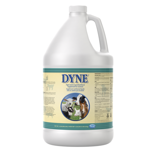 PetAg Dyne® High Calorie Liquid Nutritional Supplement for Livestock (32 oz)