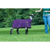Weaver Leather ProCool™ Sheep Blanket with Reflective Piping