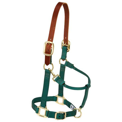 Weaver Leather Breakaway Original Adjustable Chin And Throat Snap Halter Average Green 1 (1, Green)