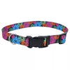 Coastal Pet Products Styles Adjustable Dog Collar (Black Skulls)