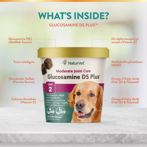 Glucosamine Chondroitin Naturvet Glucosamine Ds Plus NaturVet