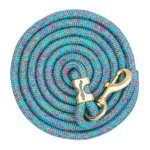 Weaver Poly Lead Rope with a Solid Brass 225 Snap