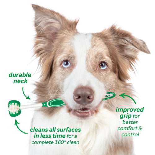 TropiClean Fresh Breath Total Care Kit (Small and Medium Dogs)