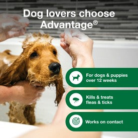 Advantage Dog Flea & Tick Shampoo for Puppies & Adult Dogs