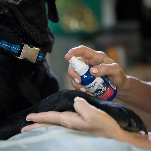 Vetericyn Plus Hot Spot Spray