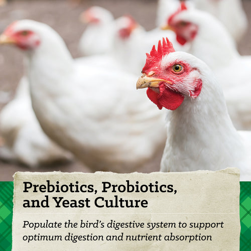 Nutrena® NatureWise® Meatbird 22% Protein Crumble