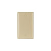 Eaton Cooper Wiring Blank Wallplate 2129V-BOX