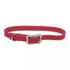 Coastal Pet Products Sunburst Dog Collar with Bone Buckle
