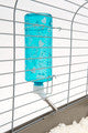 Lixit Critter Bright Water Bottle