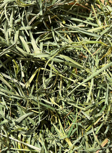 Round Lake Farm Orchard