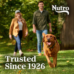 Nutro Natural Choice Senior Chicken, Whole Brown Rice Formula Dry Dog Food