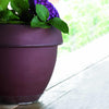 Crescent Garden Clear Plant Saucers