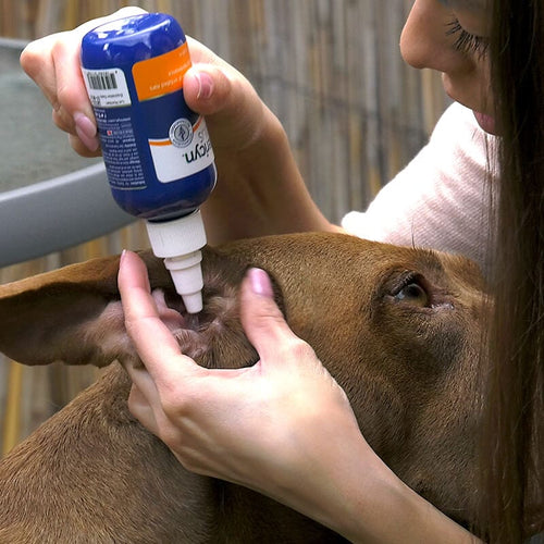 Vetericyn Plus All Animal Ear Rinse