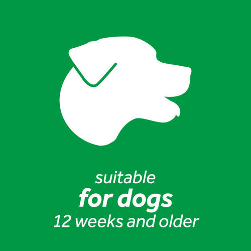 TropiClean Fresh Breath Total Care Kit (Small and Medium Dogs)