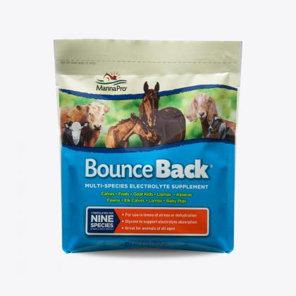 Manna Pro Bounce Back® (4 Lb)