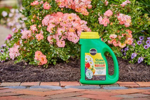 miracle-gro shake 'n feed palm plant food Miracle-Gro® Shake 'n Feed® All Purpose Plant Food - Eureka, CA - Ferndale, CA