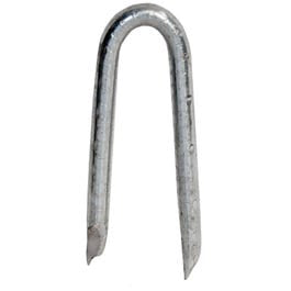 Galvanized Fence Staple, Hot-Dipped, 1.75-In., 1-Lb.