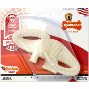 Nylabone dino best sale