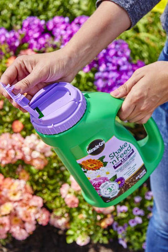 miracle grow flower seeds Miracle-Gro® Shake 'n Feed® Rose & Bloom Plant Food - Eureka, CA - Ferndale, CA