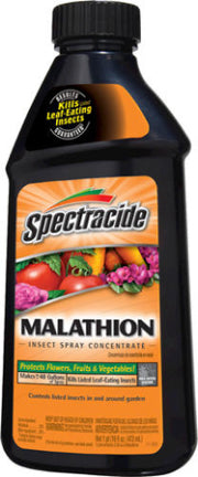 MALATHION INSECT  SPRAY CONCENTRATE 16OZ
