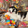 Meowijuana Get Smashed Refillable Llama Piñata Catnip Cat Toy (Medium)
