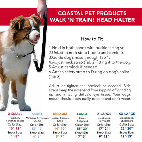 Coastal Pet Products Walk 'n Train! Dog Head Halter