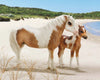 Breyer Traditional Series Misty & Stormy - Models and Book Set