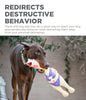 Charming Pet Squawkers Latex Rubber Chicken Interactive Dog Toy