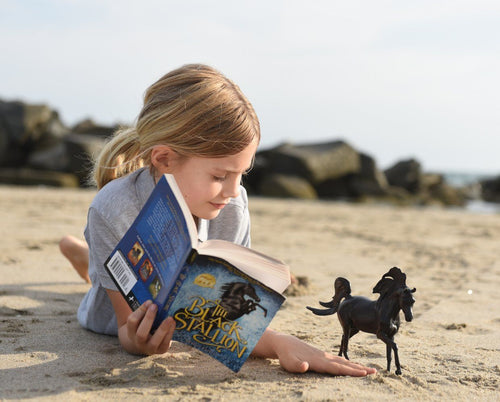 Breyer The Black Stallion Horse & Book Action Figure Set