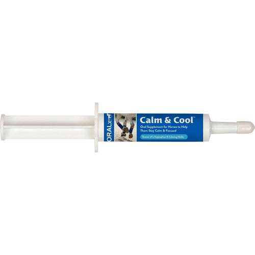 ORALX CALM & COOL ORAL SUPPLEMENT PASTE